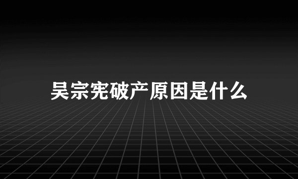 吴宗宪破产原因是什么