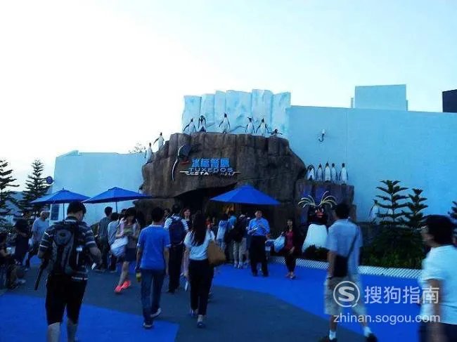 香港海洋公园攻略
