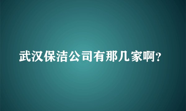 武汉保洁公司有那几家啊?