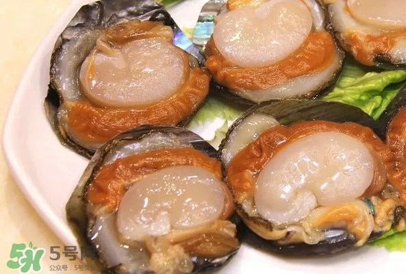 带子是什么海鲜?带子是什么东西