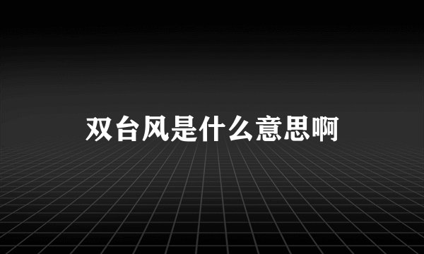双台风是什么意思啊