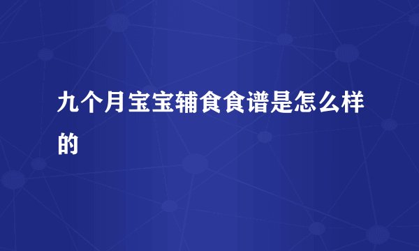 九个月宝宝辅食食谱是怎么样的