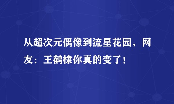 从超次元偶像到流星花园，网友：王鹤棣你真的变了！