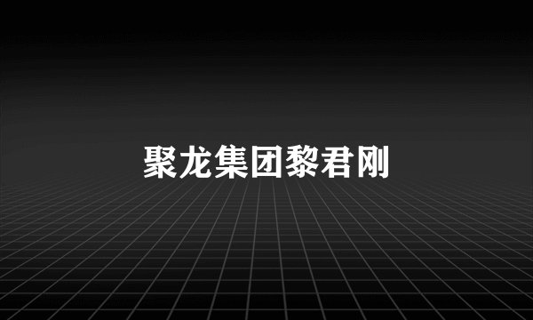 聚龙集团黎君刚