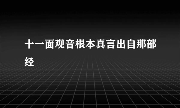 十一面观音根本真言出自那部经