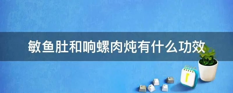 敏鱼肚和响螺肉炖有什么功效