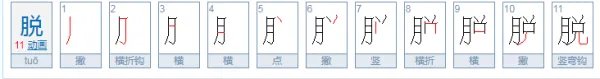 脱怎么组词