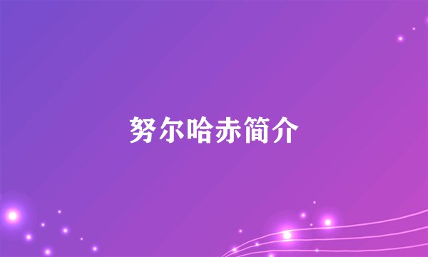 努尔哈赤简介