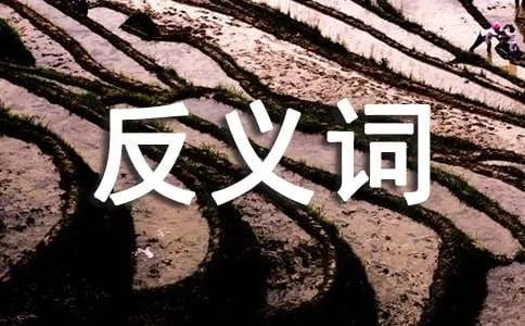 古老的反义词