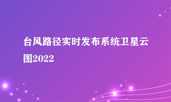 台风路径实时发布系统卫星云图2022
