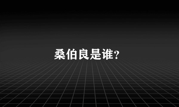 桑伯良是谁？