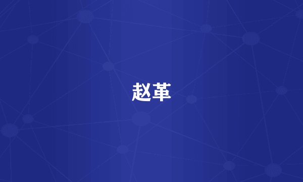 赵革