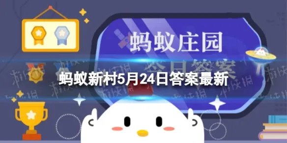梨树出现“二次开花”现象是正常的吗 蚂蚁新村5月24日答案最新