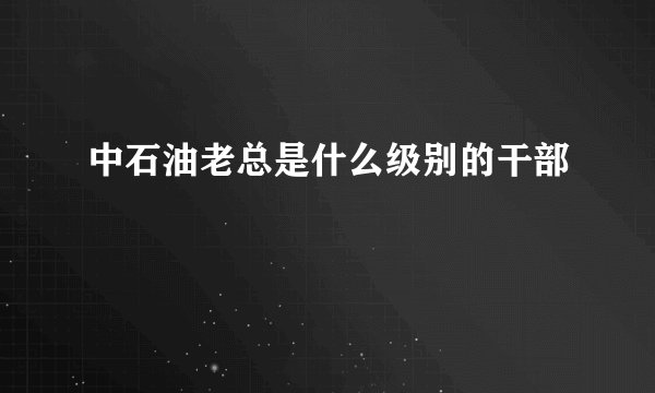 中石油老总是什么级别的干部