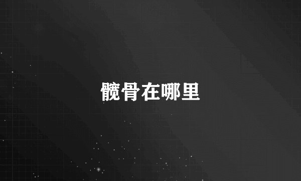 髋骨在哪里