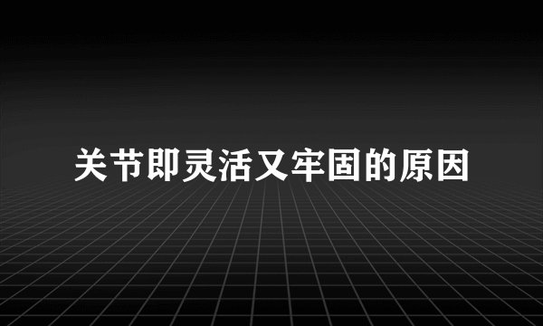 关节即灵活又牢固的原因
