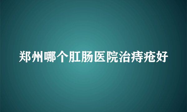 郑州哪个肛肠医院治痔疮好