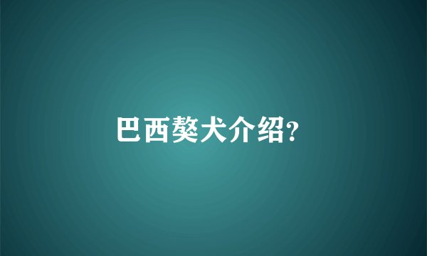 巴西獒犬介绍？