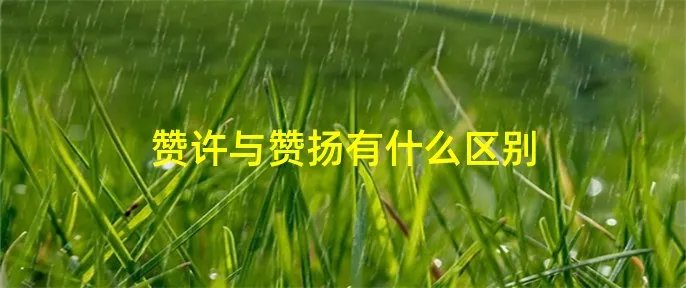 赞许与赞扬有什么区别