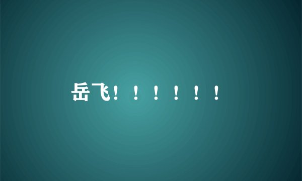 岳飞！！！！！！