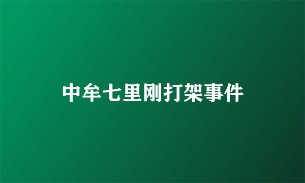 中牟七里刚打架事件