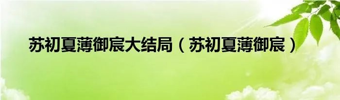 苏初夏薄御宸大结局（苏初夏薄御宸）
