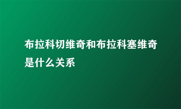 布拉科切维奇和布拉科塞维奇是什么关系