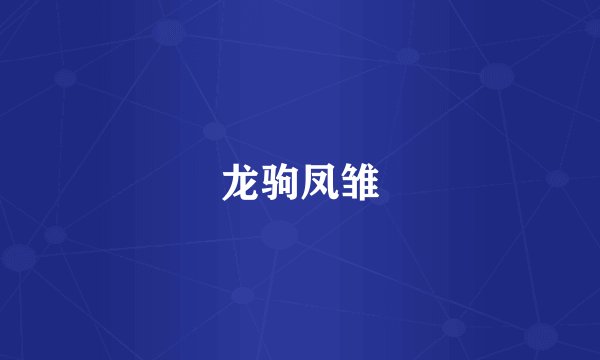 龙驹凤雏