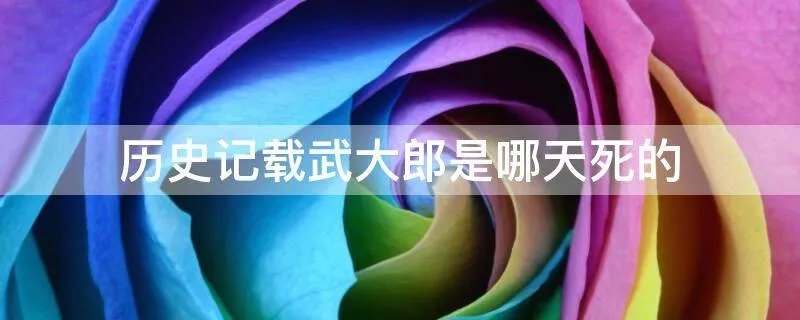 历史记载武大郎是哪天死的