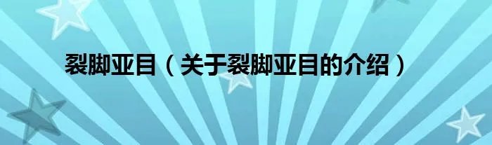 裂脚亚目(关于裂脚亚目的介绍)