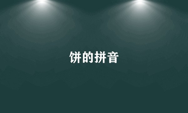 饼的拼音