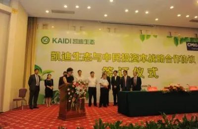 凯迪生态被立案的原因真相是什么?