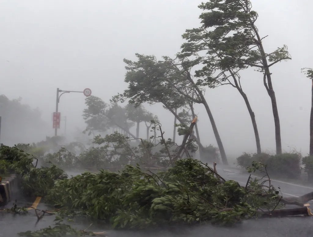 台风海高斯将于20号登陆,台风天气出门应注意什么?