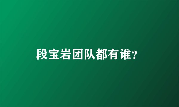 段宝岩团队都有谁?