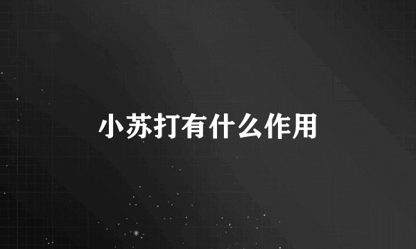 小苏打有什么作用