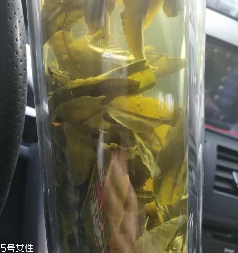 六安瓜片多少钱一斤?六安瓜片的价格
