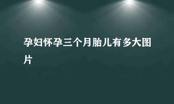 孕妇怀孕三个月胎儿有多大图片