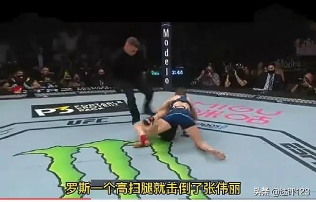你们觉得张伟丽是不是输不起?