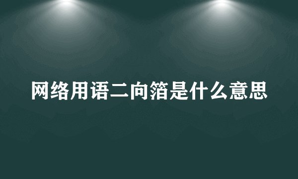 网络用语二向箔是什么意思