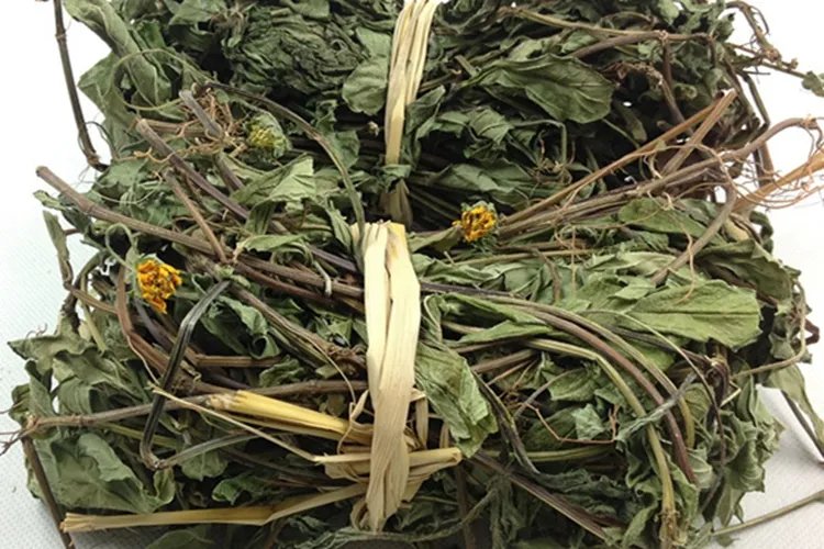 蟛蜞菊图片