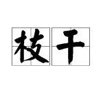 枝干的拼音是什么