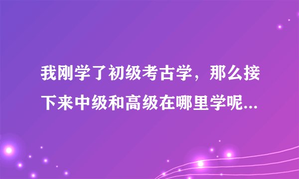我刚学了初级考古学，那么接下来中级和高级在哪里学呢?怎么学》？