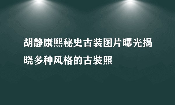 胡静康熙秘史古装图片曝光揭晓多种风格的古装照