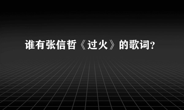 谁有张信哲《过火》的歌词？