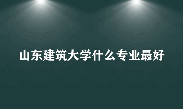 山东建筑大学什么专业最好