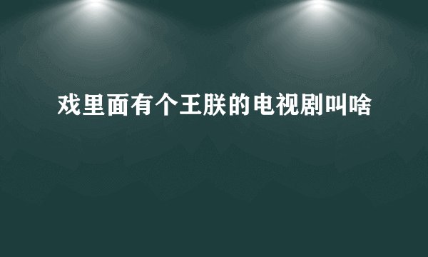 戏里面有个王朕的电视剧叫啥