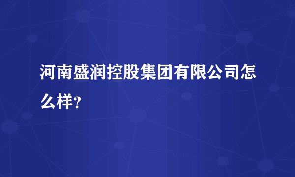河南盛润控股集团有限公司怎么样？