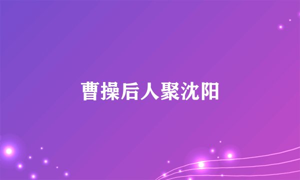 曹操后人聚沈阳