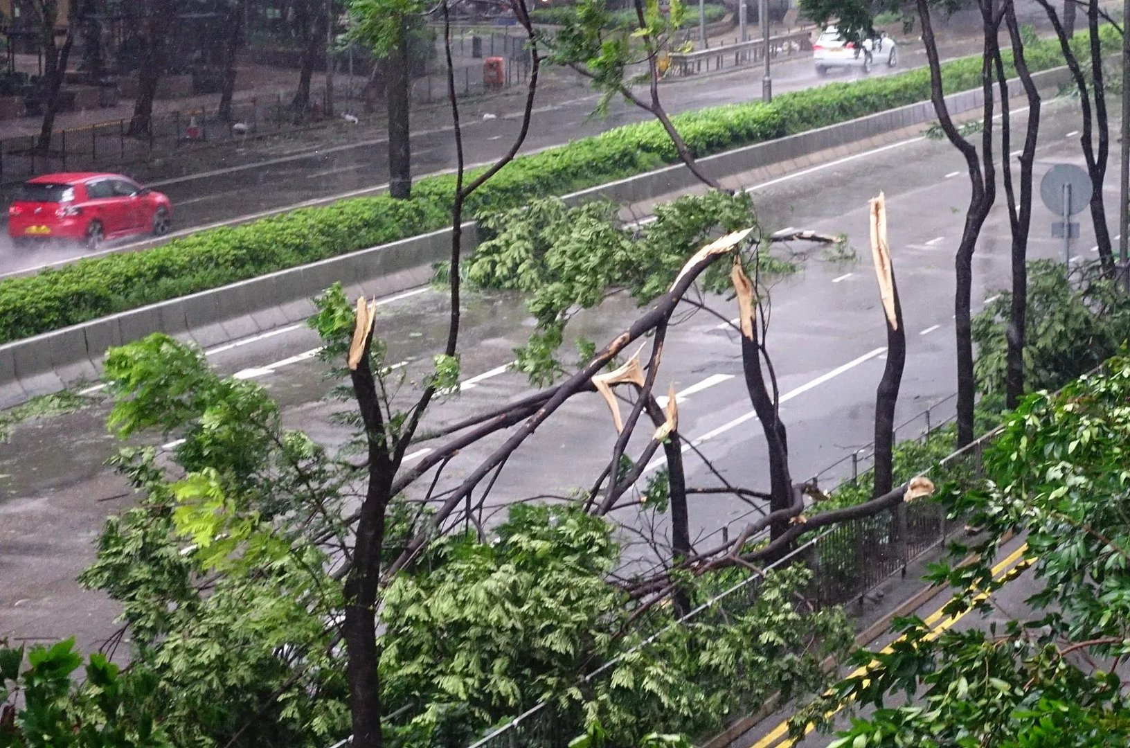 台风海高斯将于20号登陆,台风天气出门应注意什么?