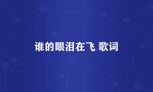 谁的眼泪在飞 歌词